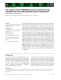 Báo cáo khoa học:  The central role of CDE/CHR promoter elements in the regulation of cell cycle-dependent gene transcription 