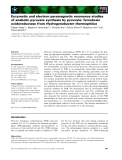 Báo cáo khoa học: Enzymatic and electron paramagnetic resonance studies of anabolic pyruvate synthesis by pyruvate: ferredoxin oxidoreductase from Hydrogenobacter thermophilus