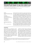 Báo cáo khoa học: Small peptides derived from the Lys active fragment of the mung bean trypsin inhibitor are fully active against trypsin