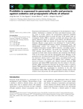 Báo cáo khoa học: Prohibitin is expressed in pancreatic b-cells and protects against oxidative and proapoptotic effects of ethanol