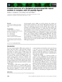 Báo cáo khoa học: Crystal structure of a designed tetratricopeptide repeat module in complex with its peptide ligand