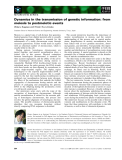 Báo cáo khoa học:  Dynamics in the transmission of genetic information: from meiosis to postmeiotic events