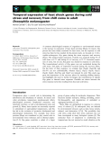 Báo cáo khoa học: Temporal expression of heat shock genes during cold stress and recovery from chill coma in adult Drosophila melanogaster