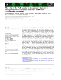 Báo cáo khoa học: The role of the Fe-S cluster in the sensory domain of nitrogenase transcriptional activator VnfA from Azotobacter vinelandii