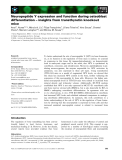 Báo cáo khoa học: Neuropeptide Y expression and function during osteoblast differentiation – insights from transthyretin knockout mice