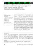 Báo cáo khoa học: Identiﬁcation and characterization of the transcription factors involved in T-cell development, t-bet, stat6 and foxp3, within the zebraﬁsh, Danio rerio