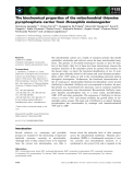 Báo cáo khoa học: The biochemical properties of the mitochondrial thiamine pyrophosphate carrier from Drosophila melanogaster