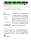 Báo cáo khoa học: Crystal structure of human cystatin C stabilized against amyloid formation