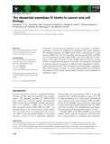 Báo cáo khoa học: The dipeptidyl peptidase IV family in cancer and cell biology