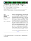 Báo cáo khoa học: Cross-species divergence of the major recognition pathways of ubiquitylated substrates for ubiquitin⁄26S proteasome-mediated proteolysis