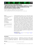 Báo cáo khoa học: Crystal structure of the halotolerant c-glutamyltranspeptidase from Bacillus subtilis in complex with glutamate reveals a unique architecture of the solvent-exposed catalytic pocket