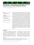 Báo cáo khoa học: Erythrochelin – a hydroxamate-type siderophore predicted from the genome of Saccharopolyspora erythraea