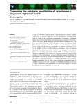 Báo cáo khoa học: Comparing the substrate speciﬁcities of cytochrome c biogenesis Systems I and II