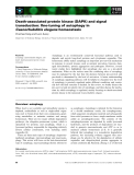 Báo cáo khoa học:  Death-associated protein kinase (DAPK) and signal transduction: ﬁne-tuning of autophagy in Caenorhabditis elegans homeostasis