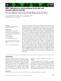 Báo cáo khoa học: RMI1 deﬁciency in mice protects from diet and genetic-induced obesity