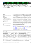 Báo cáo khoa học: The ubiquitin ligase Itch mediates the antiapoptotic activity of epidermal growth factor by promoting the ubiquitylation and degradation of the truncated C-terminal portion of Bid