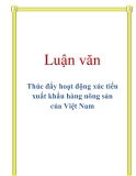 Luận văn: Thúc đẩy hoạt động xúc tiến xuất khẩu hàng nông sản của Việt Nam