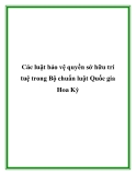 Các luật bảo vệ quyền sở hữu trí tuệ trong Bộ chuẩn luật Quốc gia Hoa Kỳ