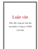 Luận văn: Thúc đẩy công tác tiêu thụ sản phẩm ở Công ty TNHH Cát Lâm