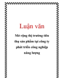 Luận văn: Mở rộng thị trường tiêu thụ sản phẩm tại công ty phát triển công nghiệp năng lượng