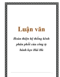 Luận văn: Hoàn thiện hệ thống kênh phân phối của công ty bánh kẹo  Hải Hà