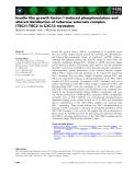 Báo cáo khoa học: Insulin like growth factor-1-induced phosphorylation and altered distribution of tuberous sclerosis complex (TSC)1⁄TSC2 in C2C12 myotubes