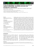 Báo cáo khoa học: A new phospholipase A2 isolated from the sea anemone Urticina crassicornis – its primary structure and phylogenetic classiﬁcation