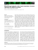Báo cáo khoa học: Mixed lineage leukemia: roles in gene expression, hormone signaling and mRNA processing