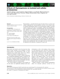 Báo cáo khoa học: Effects of thymoquinone on isolated and cellular proteasomes