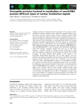 Báo cáo khoa học: Drosophila proteins involved in metabolism of uracil-DNA possess different types of nuclear localization signals