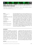 Báo cáo khoa học: Highly site-selective stability increases by glycosylation of dihydrofolate reductase