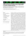 Báo cáo khoa học: LmbE proteins from Bacillus cereus are de-N-acetylases with broad substrate speciﬁcity and are highly similar to proteins in Bacillus anthracis