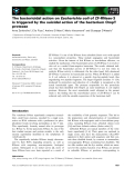 Báo cáo khoa học: The bactericidal action on Escherichia coli of ZF-RNase-3 is triggered by the suicidal action of the bacterium OmpT protease