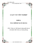 Luận văn: Nâng cao chất lượng tín dụng ngắn hạn tại Chi nhánh NHCT khu vực Chương Dương
