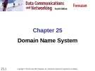 Chapter 25 Domain Name System