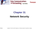 Chapter 31 Network Security