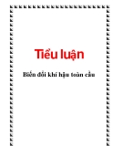 Đề tài tiểu luận: Biến đổi khí hậu toàn cầu