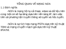 TỔNG QUAN VỀ MẠNG NGN