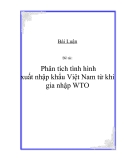 Đề tài:  Phân tích tình hình xuất nhập khẩu Việt Nam từ khi ra nhập WTO
