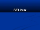 SELinux