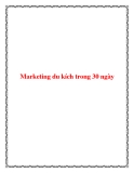 Lập kế hoạch marketing du kích trong 30 ngày