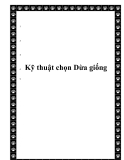 Kỹ thuật chọn Dừa giống