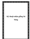  Kỹ thuật nhân giống Sá Sùng