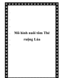  Mô hình nuôi tôm Thẻ ruộng Lúa