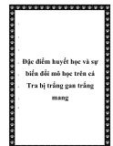  Đặc điểm huyết học và sự biến đổi mô học trên cá Tra bị trắng gan trắng mang