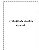 Kỹ thuật khắc uốn thân cây cảnh