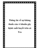  Thông tin về sự kháng thuốc của vi khuẩn gây bệnh xuất huyết trên cá Tra