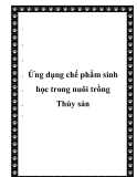  Ứng dụng chế phẩm sinh học trong nuôi trồng Thủy sản