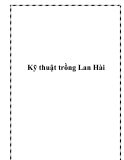 Kỹ thuật trồng Lan Hài