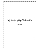 Kỹ thuật ghép Mai nhiều màu